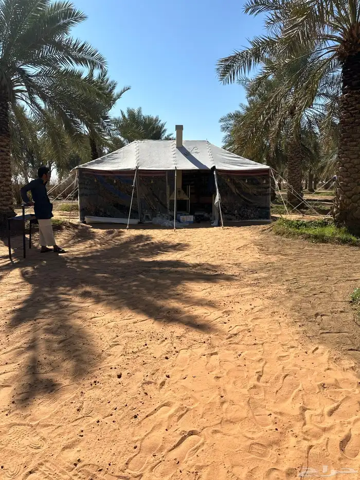 ثاث بيوت شعر جديدة خيام جديدة 2