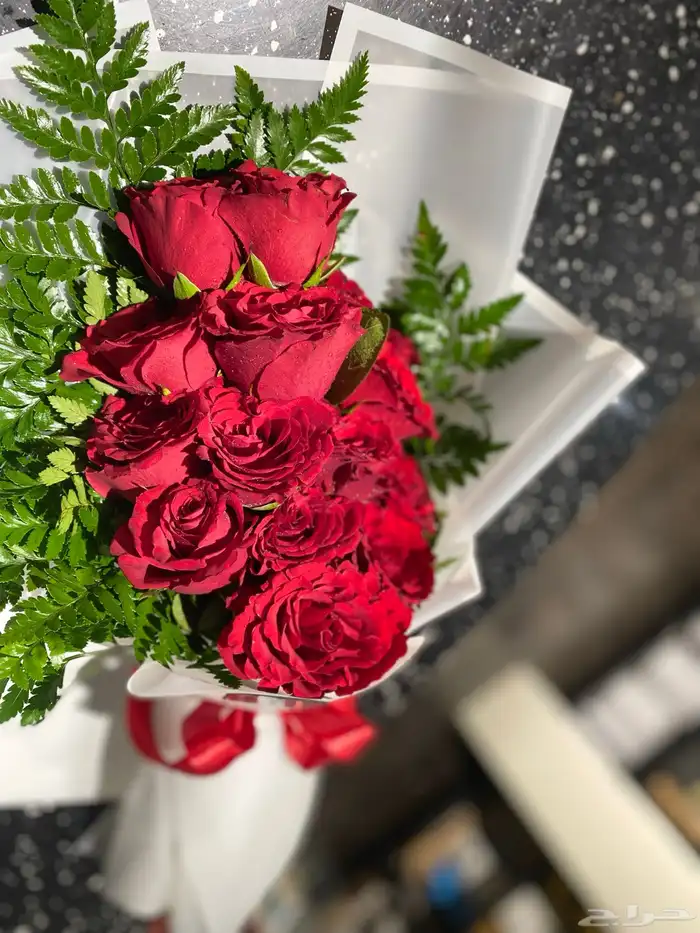 هداياالمدينه 1