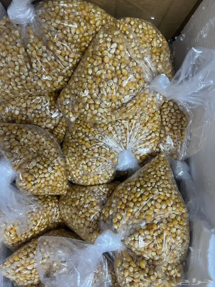 فشار امريكي جامبو 0