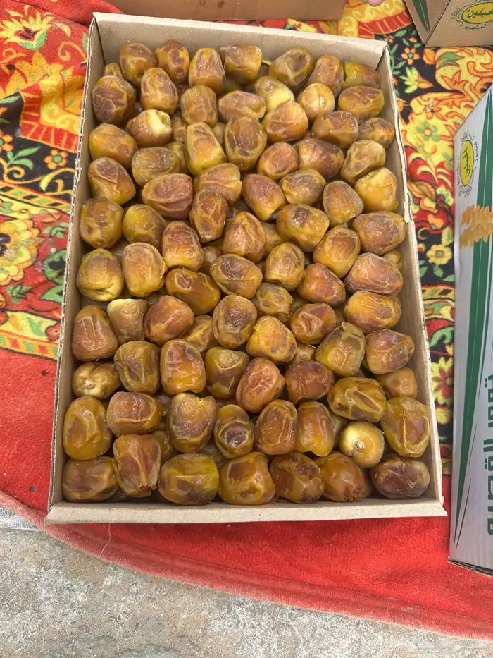 بريده حي الخليج 0