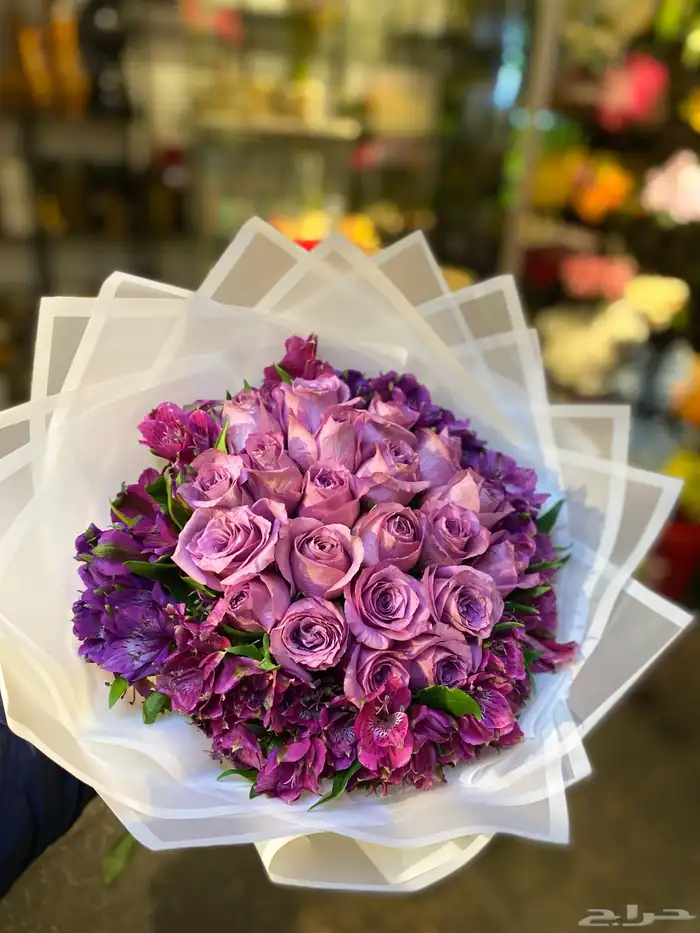 هداياالمدينه 42