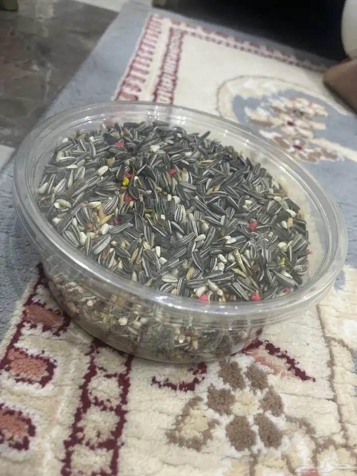 اكل طيور مستلزمات طيور 1