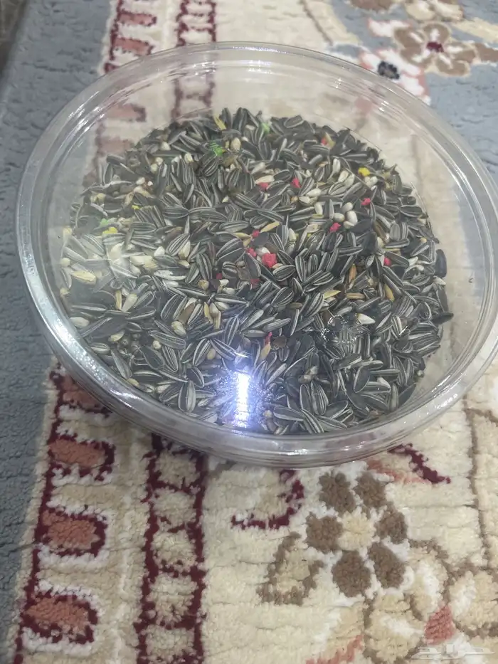 اكل طيور مستلزمات طيور 0