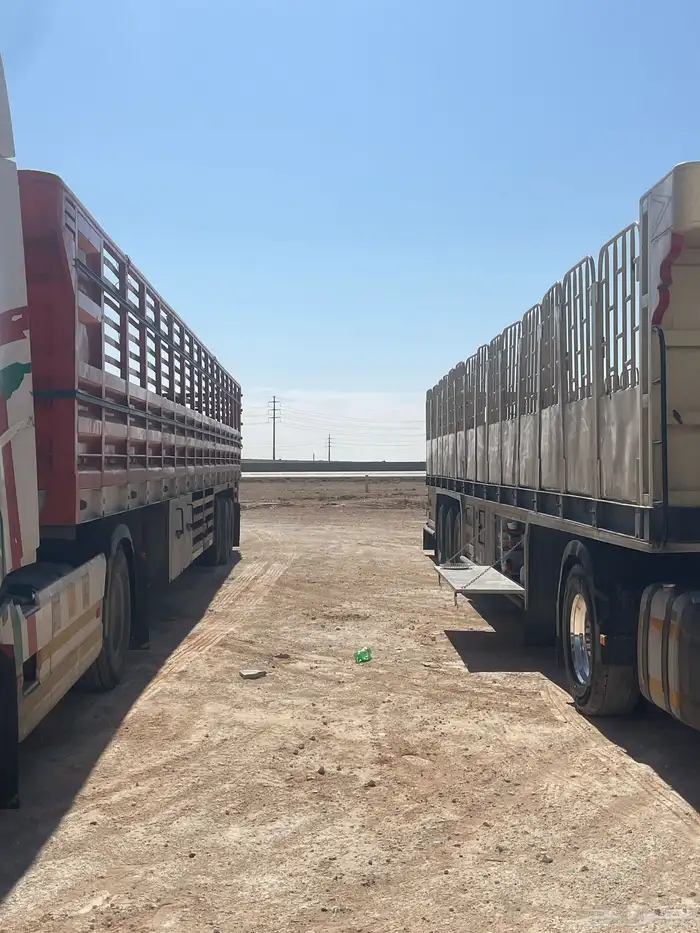 شاحنات النقل جميع مناطق المملكة 1
