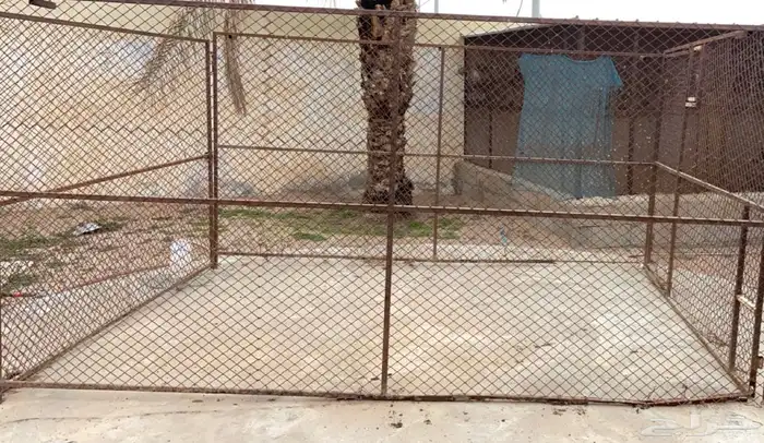 شبك طيور البيع 1