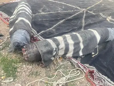 بيت شعر نضيف شرط 0