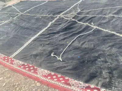 بيت شعر نضيف شرط 1