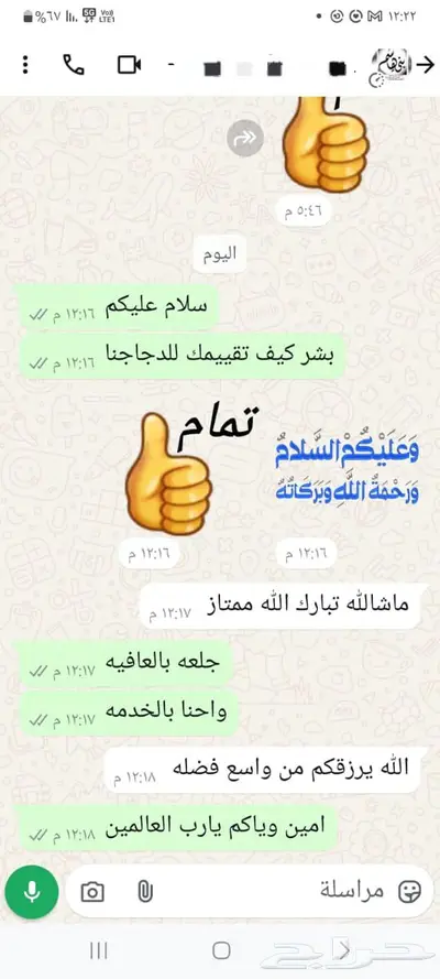 دجاج مبرد طازج 0