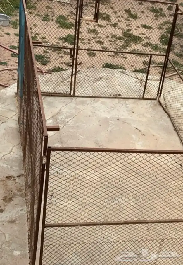 شبك طيور البيع 2