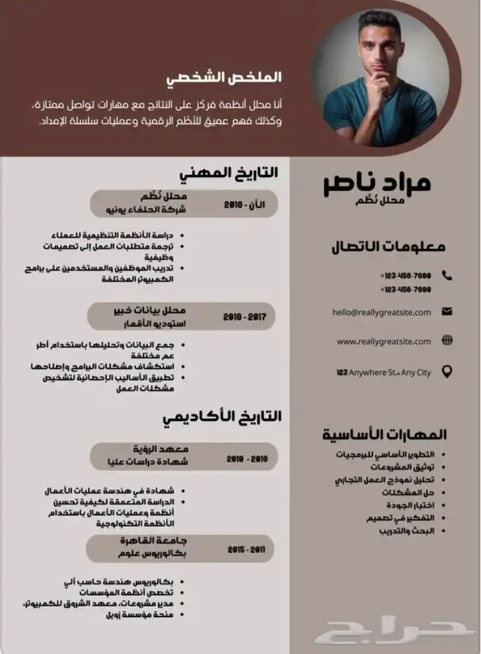 تصميم سيرة ذاتية بشكل احترافي و اقل سعر cv 5
