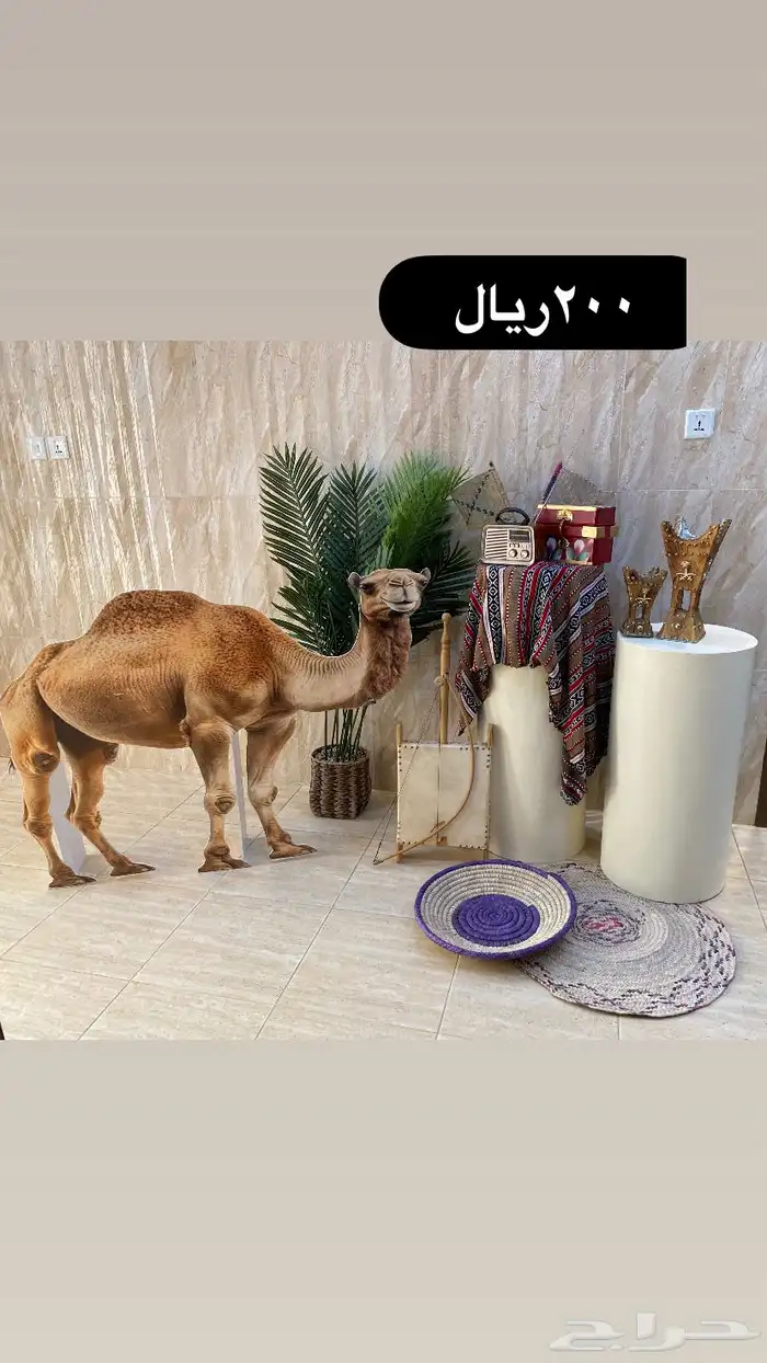 استقبال يوم تاسيس يبدا من 50ريال الى 450 7