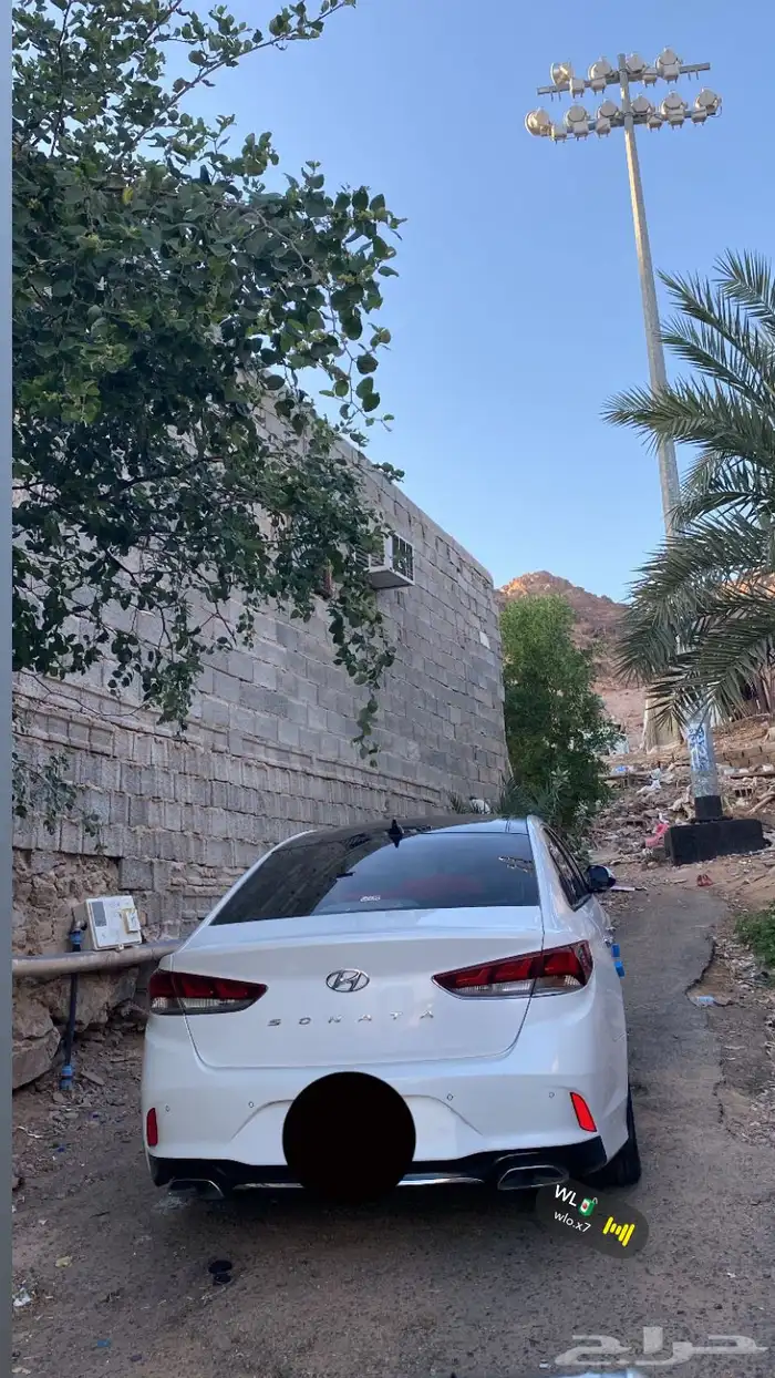 أطلب مباشر شلون كم تبغى 3