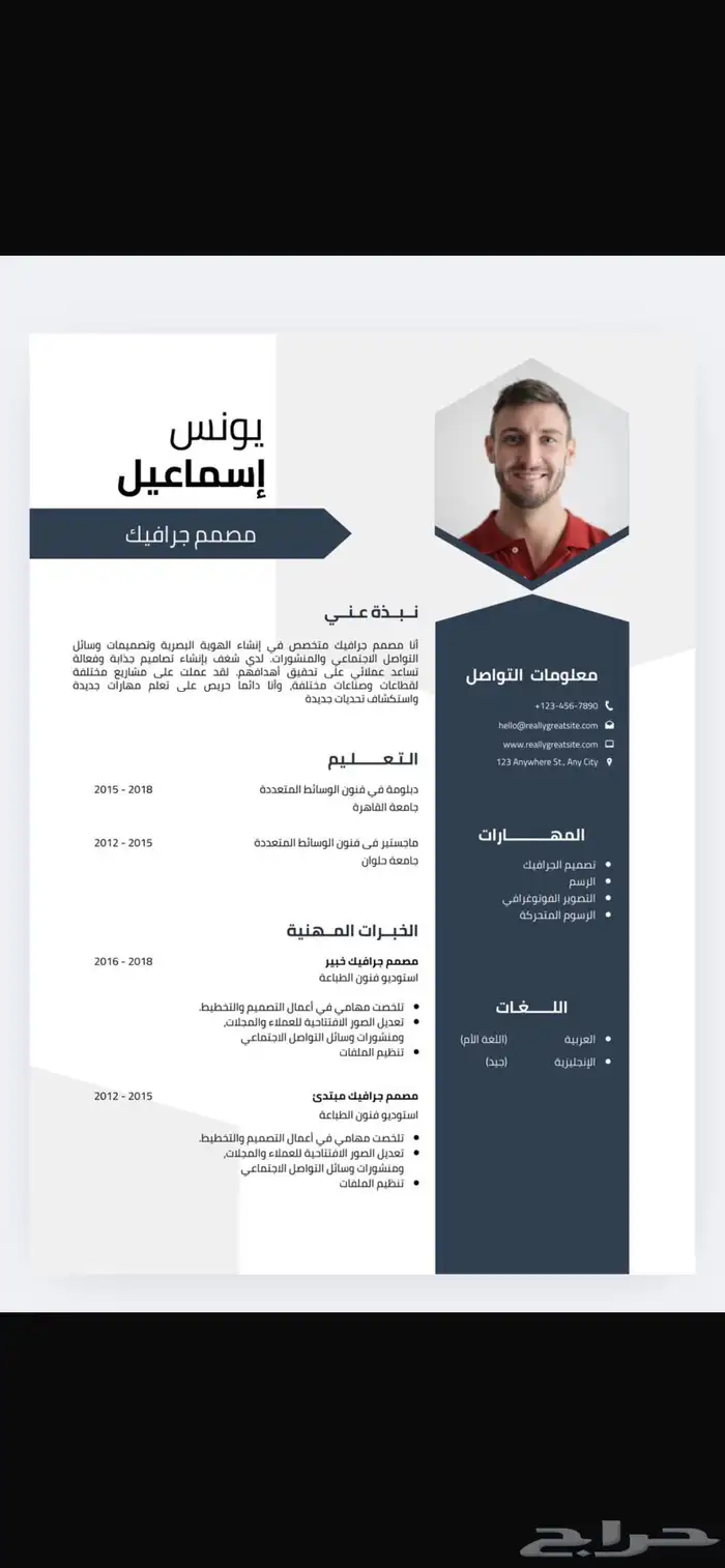 تصميم سيرة ذاتية بشكل احترافي و اقل سعر cv 0
