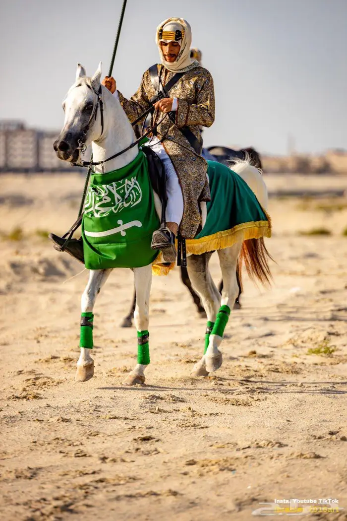 إيجار خيول ليوم التأسيس 6