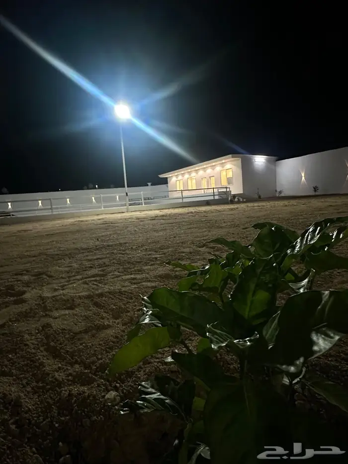 يعلن مربط عتاق الحجاز عن فتح الإيواء 5