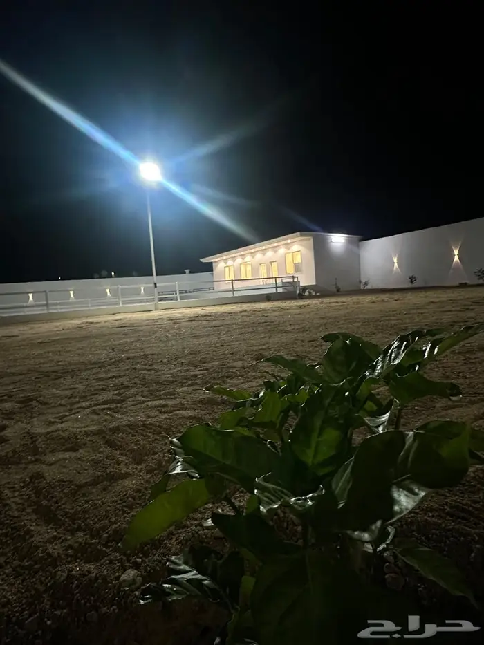 يعلن مربط عتاق الحجاز عن فتح الإيواء 3