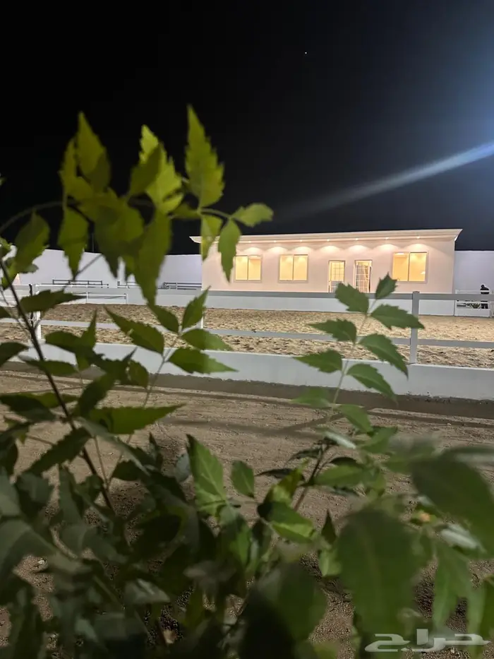 يعلن مربط عتاق الحجاز عن فتح الإيواء 0