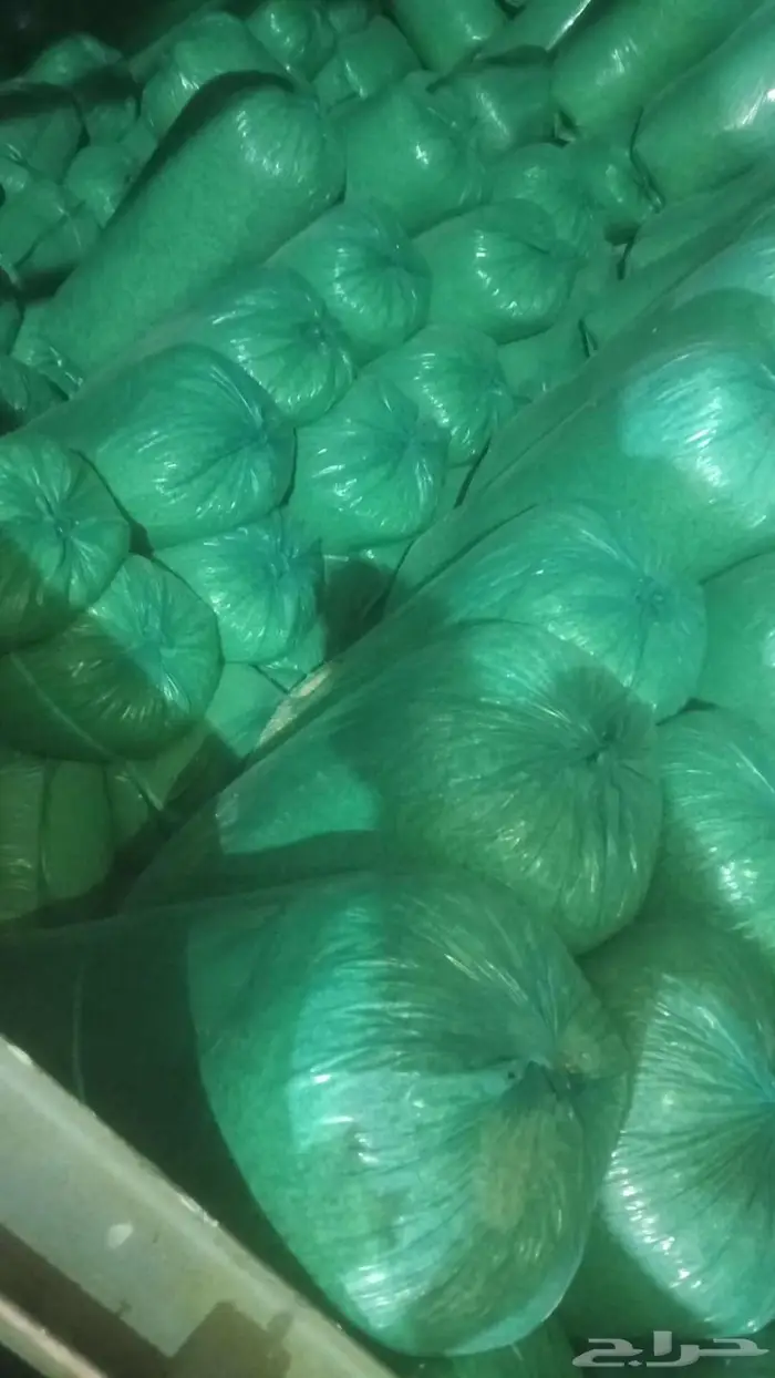 نشاره خشب نضيفه 3000كيس كميات كبيره 1