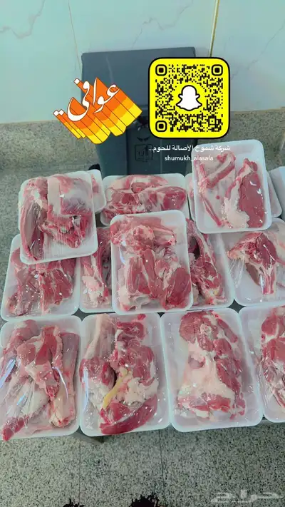 ملحمة اصالة العجول للعجول الجنوبيه اللبانيه في تبوك 11