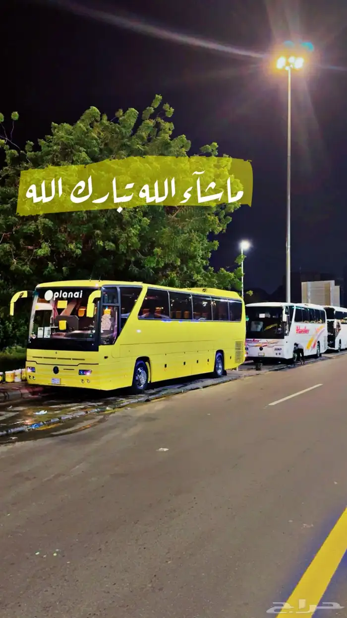 باصات للإيجار 1