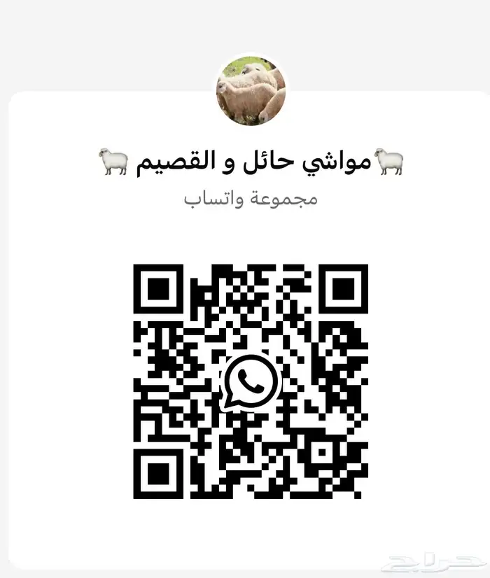 جذع خاروف للبيع 0