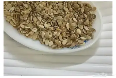 فصفص القصب اقط مضير بقل 0