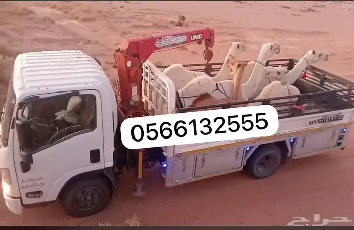 دناء ونش لتوصيل الآبل وغيرها 0
