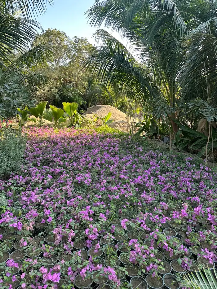 مشاتل توريد للشركات والمشاريع باقل الاسعار وبكميات 1