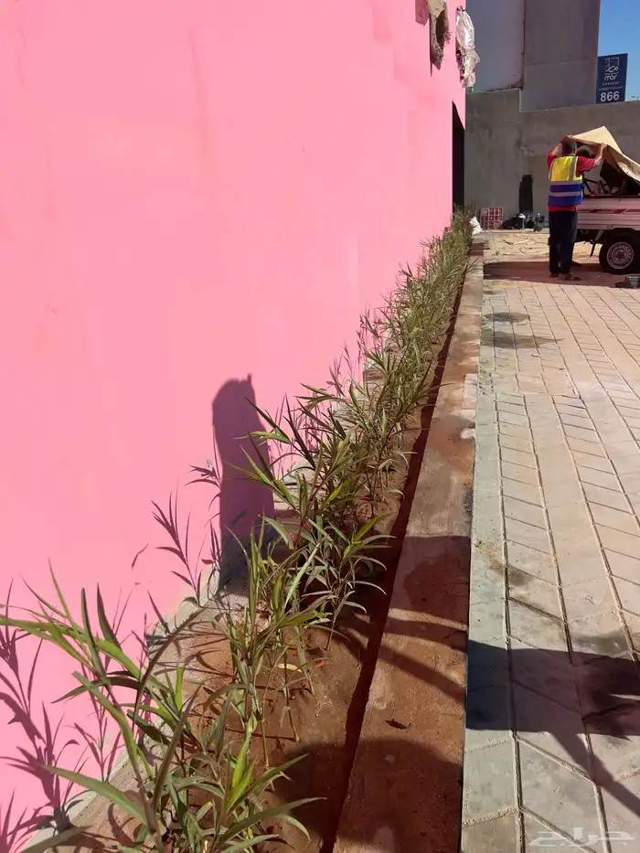 صيانة حدائق تصميم حدايق 2