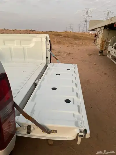 حوض ديمكس 2023 18