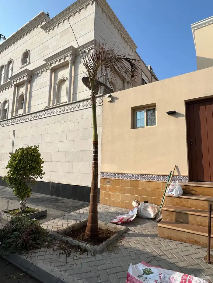 صيانة حدائق تصميم حدايق 86