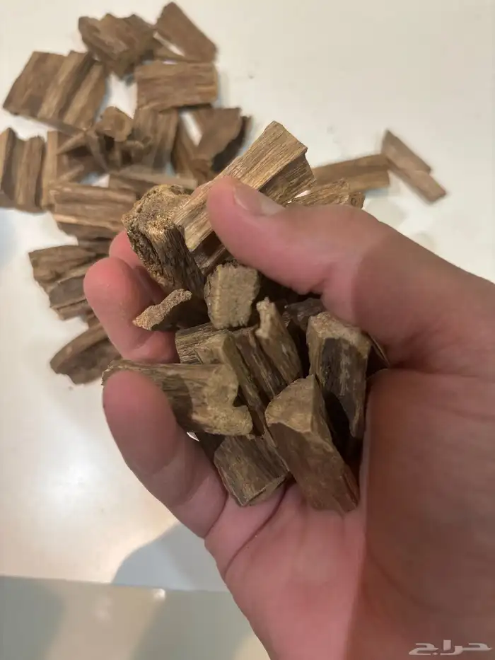 عود حجم مباخر للمجالس 1