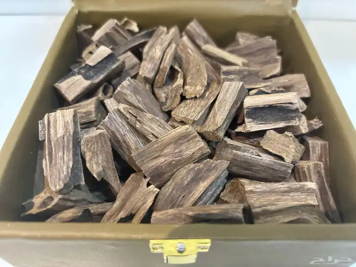 عود حجم مباخر للمجالس 0