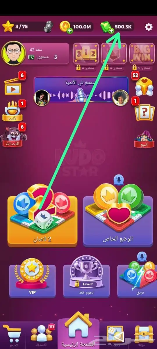الحسابات للبيع لودو 2