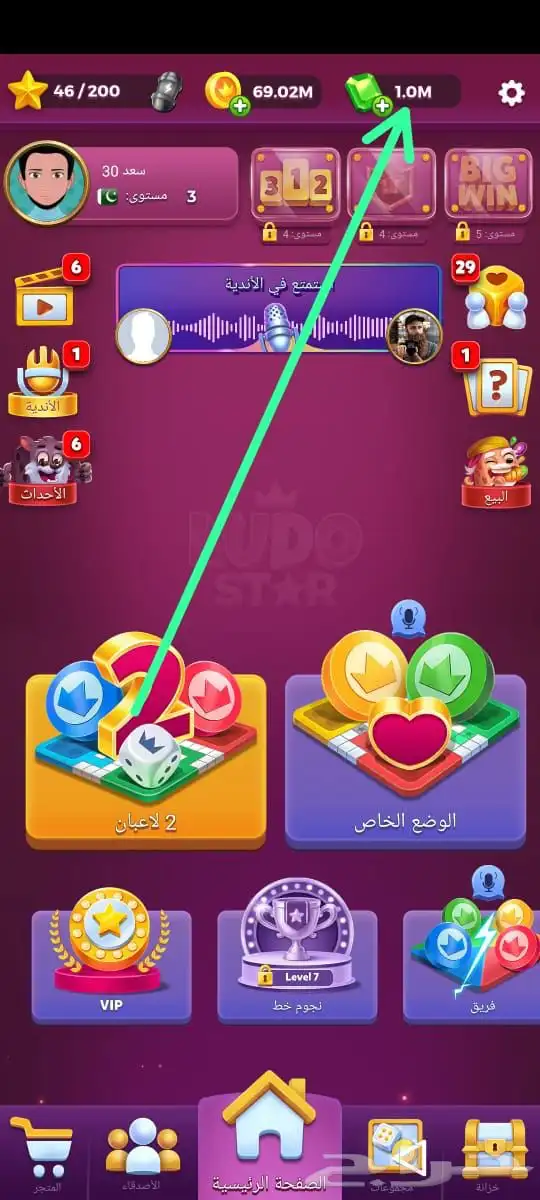 الحسابات للبيع لودو 1