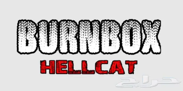 دودج تشارجر SRT هليكات برن بوكس 3