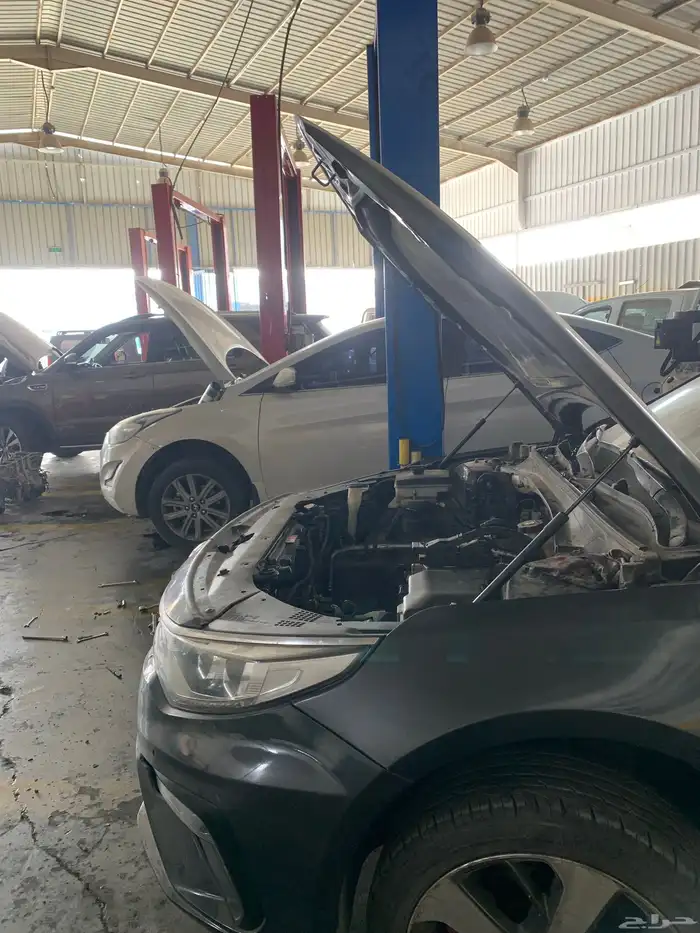 مكينه اوبتيما 2019 2