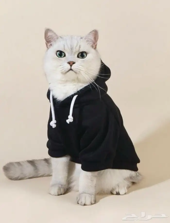 ملابس للقطط والكلاب 2