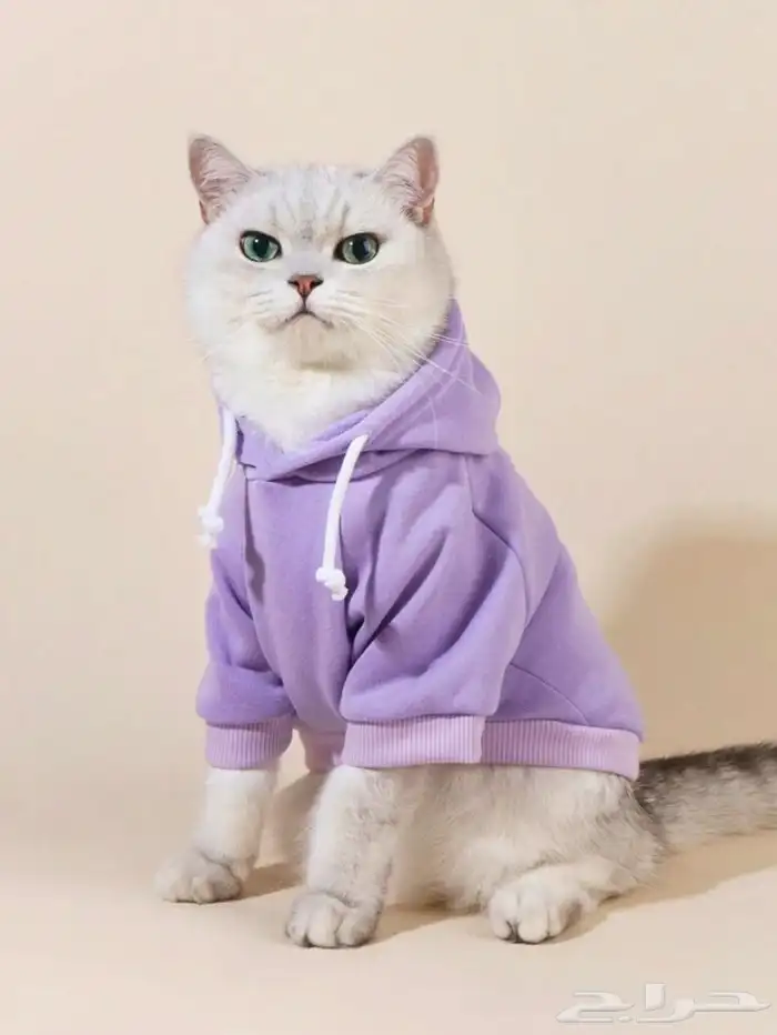 ملابس للقطط والكلاب 3