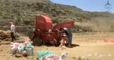 مطلوب دياسه اجار خميس مشيط 0