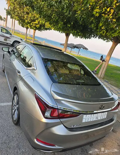 مباع 7