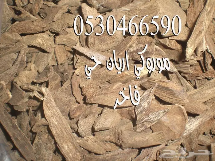 عود موروكي حي طيب وفاخر طبيعي 0