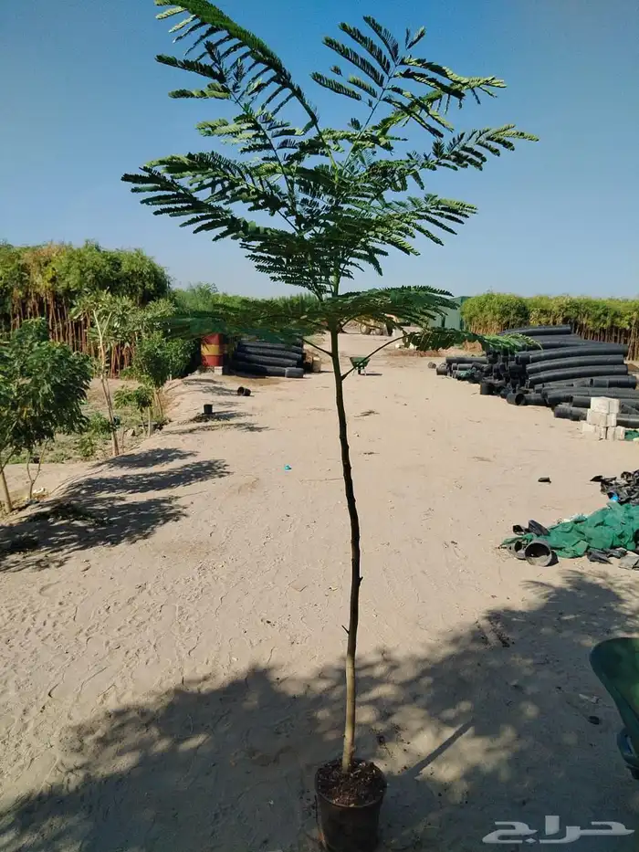 مشاتل توريد للشركات والمشاريع باقل الاسعار وبكميات 4