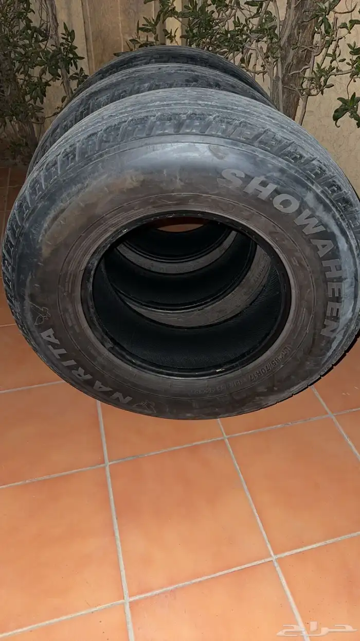 شواهين 900 17 3