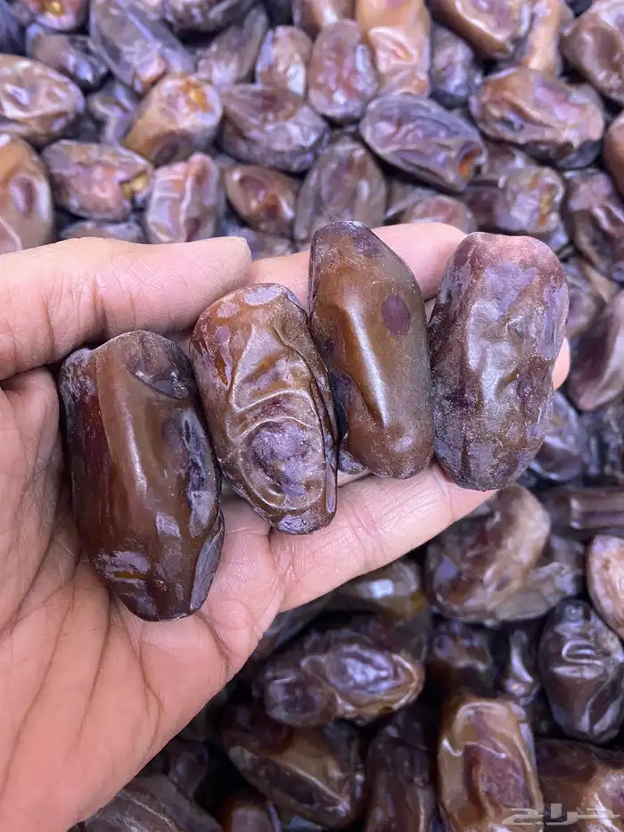 تمر جملة مفرق من مزارعنا بأسعار جملة الجملة 17