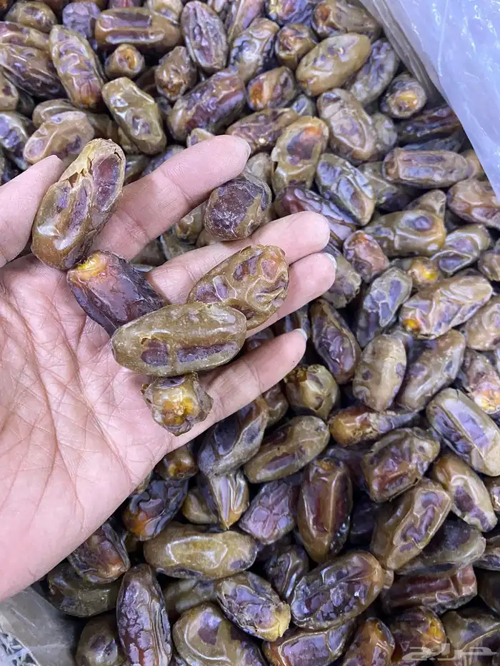 تمر جملة مفرق من مزارعنا بأسعار جملة الجملة 18