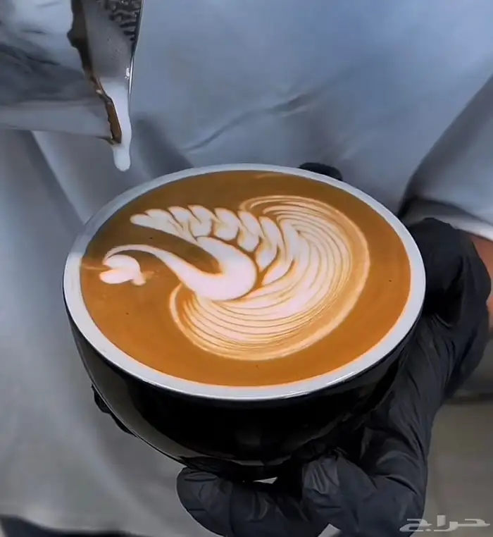 i need a job as a barista 0