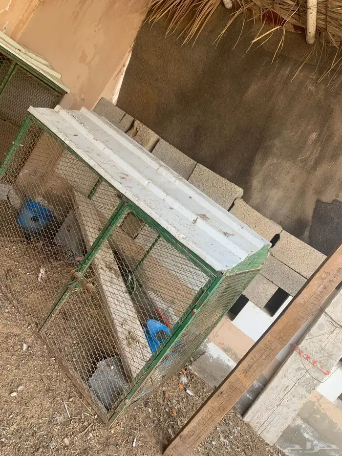 شبك حديد متر ب متر ونص 0