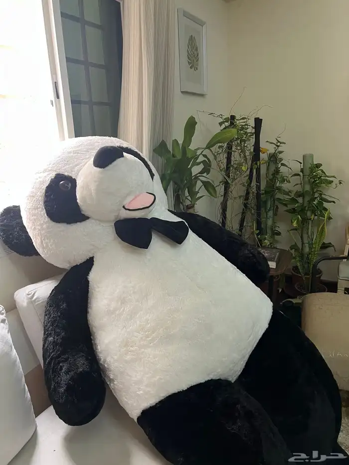 دبدوب 0