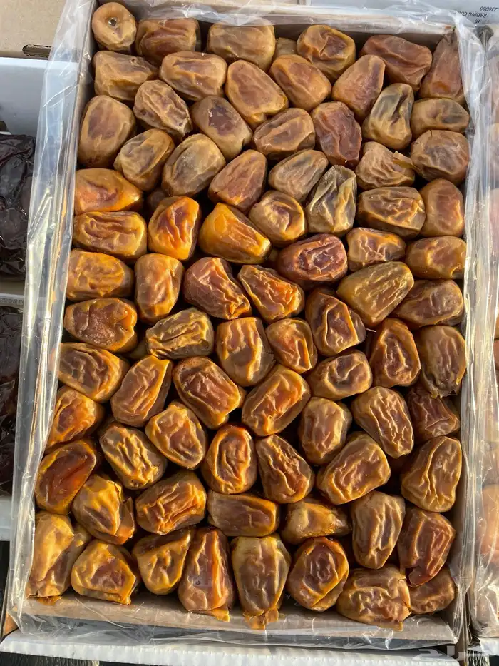 تمور القصيم 0